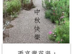 -西京湾花海