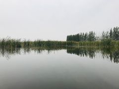 -白洋淀景区