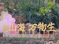 -梧桐山风景名胜区