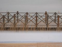 -野鸭湖国家湿地公园