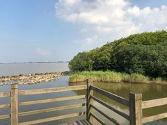 -吴淞炮台湾湿地森林公园烧烤区