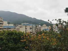 -郑和公园