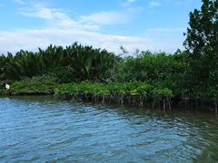 -东寨港红树林旅游区