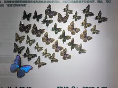 -沈阳鸟岛
