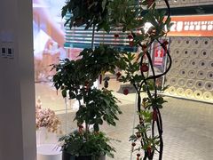 -涟LIAN·泰式按摩·MASSAGE·SPA(深业上城店)