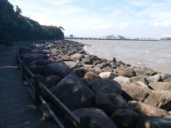 -吴淞炮台湾湿地森林公园烧烤区