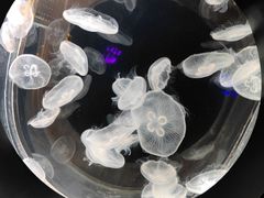 -南京金牛湖风景区