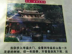 -灵光寺