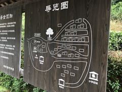 -杨家堂村