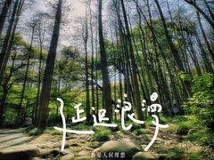 -上海共青森林公园