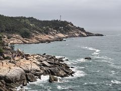 -广东惠东海龟国家级自然保护区