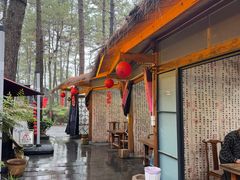 -小小饭店·休闲农庄·安吉松树林里的农家菜