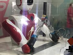 -陕西自然博物馆