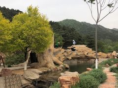 -青龙山风景区