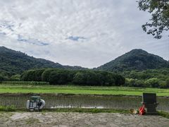 -八卦田遗址公园