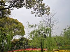 -上海鲜花港