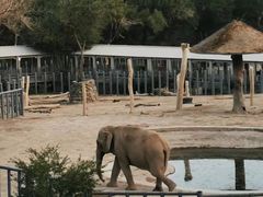 -新疆天山野生动物园
