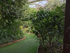 -呀路古热带植物园