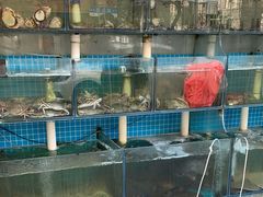 -天伦海鲜·老味道·青岛菜(栈桥天主教堂店)