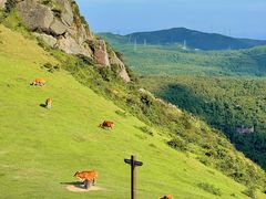 -大姆山草场