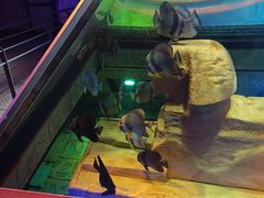 -大连圣亚海洋世界