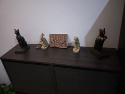 -榕树上·瑜伽普拉提