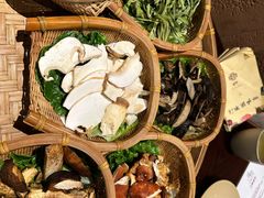 -滇野云南野生菌餐厅(陕西南路店)