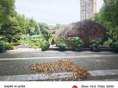 -陈家山荷花公园