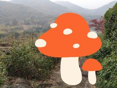 -白马涧龙池景区