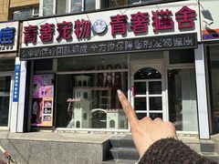 -青奢宠物·青奢猫舍