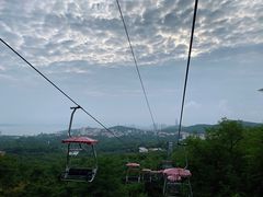 -青岛中山公园-索道售票处