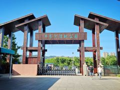 -羊亭河湿地公园