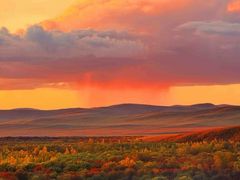 -东方宫中国蘭州牛肉拉面(黄岛店)