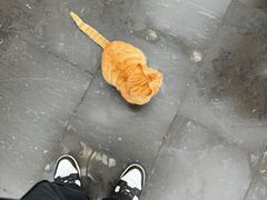 -长春观