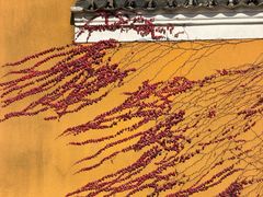 -普陀山慧济禅寺