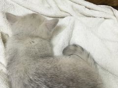 -惠康宠物医院(华能路店)