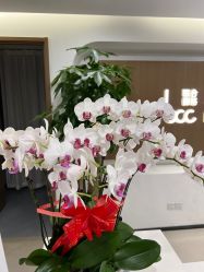 -丰联丽格医疗美容·联合丽格眼整形中心