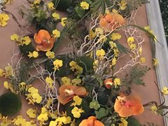 -蜀宴小调·精致家常菜(科华店)