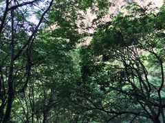 -北京上方山国家森林公园