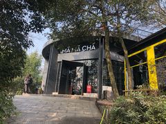 -MAMACHA妈妈茶(岳麓山店)