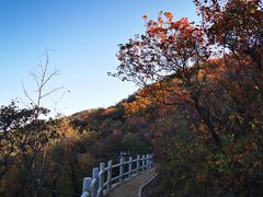 -北京西山国家森林公园