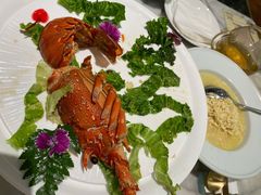 -蝶园·装修中(BFC外滩金融中心店)