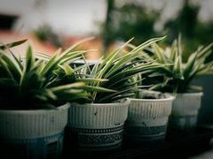 -维乐口腔医院(星海湾分院)