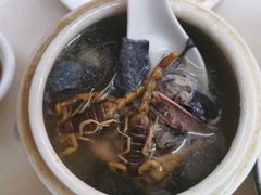 党参乌鸡炖蝎子-国英炖品店(甲子路店)