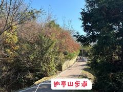 -敬亭山风景名胜区