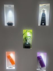 -北京楚诺医疗美容