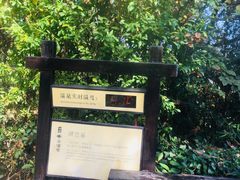 -天目湖涵田半山温泉
