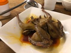 -百利鸽王(紫薇路店)