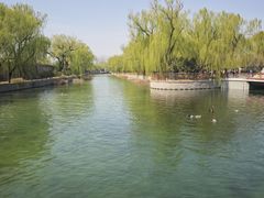 -皇家御河游(紫御湾码头)
