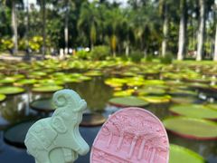 -中国科学院西双版纳热带植物园